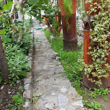 Pensiunea Casa Montana Sasca Montana