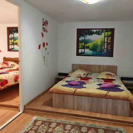 Pensiunea Casa Montana