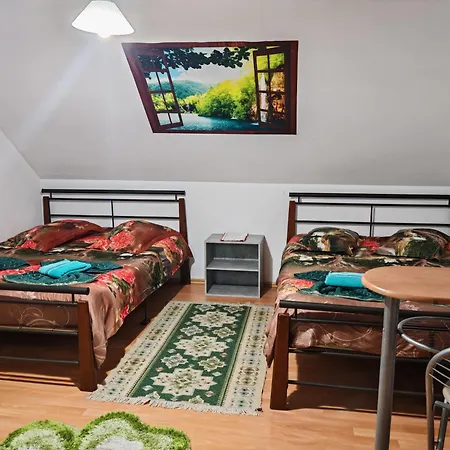 Guest house Pensiunea Casa Montana