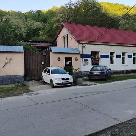 Guest house Pensiunea Casa Montana *
