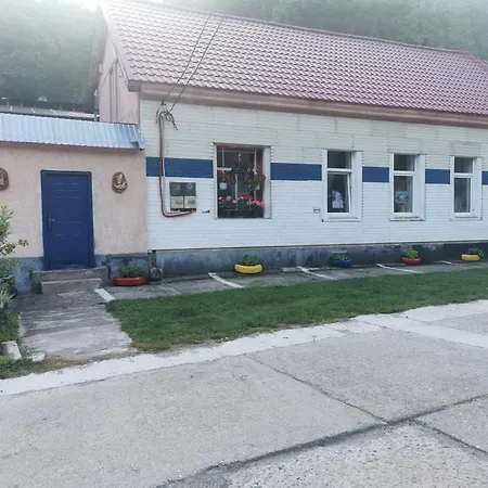 Pensiunea Casa Montana Guest house Sasca Montana