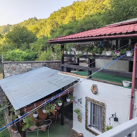 Pensiunea Casa Montana