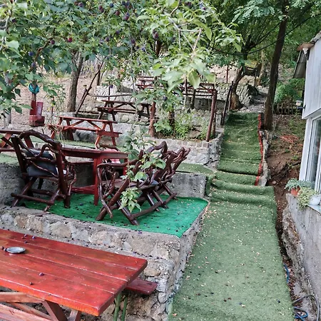 Guest house Pensiunea Casa Montana *