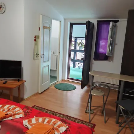 Pensiunea Casa Montana *