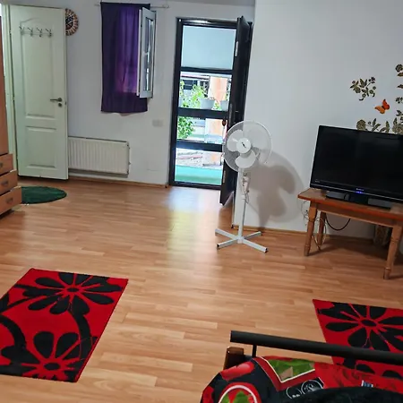 Pensiunea Casa Montana * Sasca Montana