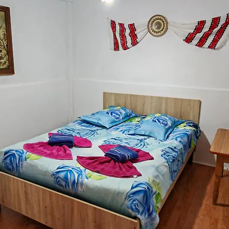 Pensiunea Casa Montana Guest house *