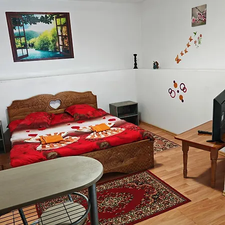 Guest house Pensiunea Casa Montana *
