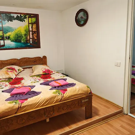 Guest house Pensiunea Casa Montana