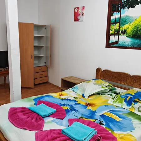 Pensiunea Casa Montana *
