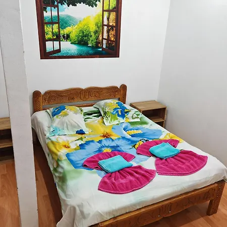 Pensiunea Casa Montana Guest house Sasca Montana