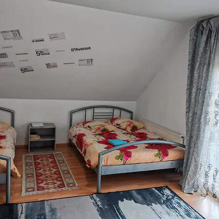 Pensiunea Casa Montana Sasca Montana
