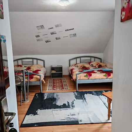 Pensiunea Casa Montana * Sasca Montana