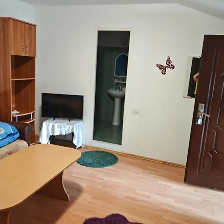 Guest house Pensiunea Casa Montana *